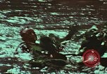 Image of survival techniques Philippines, 1968, second 30 stock footage video 65675072409