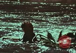 Image of survival techniques Philippines, 1968, second 31 stock footage video 65675072409