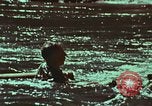 Image of survival techniques Philippines, 1968, second 32 stock footage video 65675072409