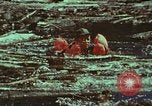 Image of survival techniques Philippines, 1968, second 33 stock footage video 65675072409