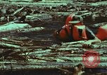 Image of survival techniques Philippines, 1968, second 36 stock footage video 65675072409