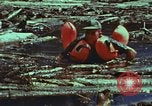 Image of survival techniques Philippines, 1968, second 38 stock footage video 65675072409