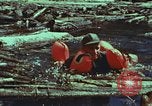 Image of survival techniques Philippines, 1968, second 43 stock footage video 65675072409