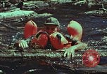 Image of survival techniques Philippines, 1968, second 46 stock footage video 65675072409