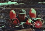 Image of survival techniques Philippines, 1968, second 48 stock footage video 65675072409