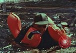 Image of survival techniques Philippines, 1968, second 50 stock footage video 65675072409