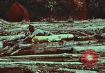 Image of survival techniques Philippines, 1968, second 53 stock footage video 65675072409
