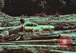 Image of survival techniques Philippines, 1968, second 54 stock footage video 65675072409