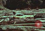Image of survival techniques Philippines, 1968, second 55 stock footage video 65675072409