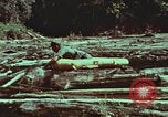 Image of survival techniques Philippines, 1968, second 56 stock footage video 65675072409