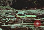 Image of survival techniques Philippines, 1968, second 57 stock footage video 65675072409