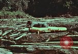 Image of survival techniques Philippines, 1968, second 58 stock footage video 65675072409