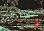 Image of survival techniques Philippines, 1968, second 59 stock footage video 65675072409