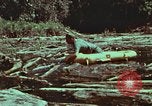 Image of survival techniques Philippines, 1968, second 60 stock footage video 65675072409