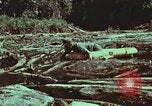 Image of survival techniques Philippines, 1968, second 61 stock footage video 65675072409