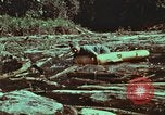 Image of survival techniques Philippines, 1968, second 62 stock footage video 65675072409