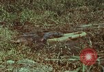 Image of jungle animals and fish Philippines, 1968, second 1 stock footage video 65675072410