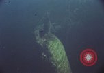 Image of jungle animals and fish Philippines, 1968, second 9 stock footage video 65675072410