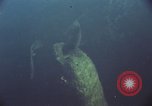Image of jungle animals and fish Philippines, 1968, second 12 stock footage video 65675072410