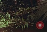 Image of jungle animals and fish Philippines, 1968, second 17 stock footage video 65675072410