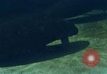 Image of jungle animals and fish Philippines, 1968, second 47 stock footage video 65675072410
