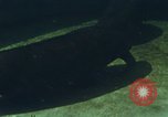 Image of jungle animals and fish Philippines, 1968, second 48 stock footage video 65675072410