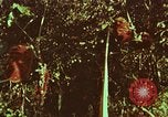 Image of evacuation techniques Philippines, 1968, second 1 stock footage video 65675072411
