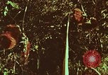Image of evacuation techniques Philippines, 1968, second 3 stock footage video 65675072411