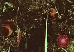 Image of evacuation techniques Philippines, 1968, second 5 stock footage video 65675072411