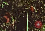 Image of evacuation techniques Philippines, 1968, second 6 stock footage video 65675072411