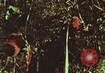 Image of evacuation techniques Philippines, 1968, second 7 stock footage video 65675072411