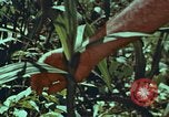 Image of evacuation techniques Philippines, 1968, second 14 stock footage video 65675072411