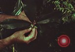 Image of evacuation techniques Philippines, 1968, second 28 stock footage video 65675072411