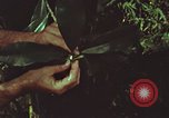 Image of evacuation techniques Philippines, 1968, second 29 stock footage video 65675072411