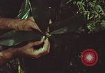 Image of evacuation techniques Philippines, 1968, second 30 stock footage video 65675072411