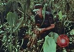 Image of evacuation techniques Philippines, 1968, second 32 stock footage video 65675072411