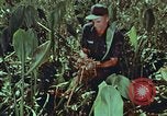Image of evacuation techniques Philippines, 1968, second 33 stock footage video 65675072411