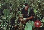 Image of evacuation techniques Philippines, 1968, second 34 stock footage video 65675072411