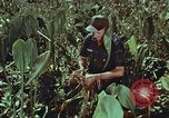 Image of evacuation techniques Philippines, 1968, second 35 stock footage video 65675072411