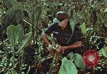 Image of evacuation techniques Philippines, 1968, second 36 stock footage video 65675072411