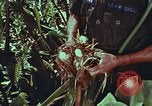 Image of evacuation techniques Philippines, 1968, second 37 stock footage video 65675072411