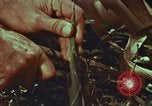 Image of evacuation techniques Philippines, 1968, second 53 stock footage video 65675072411