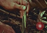 Image of evacuation techniques Philippines, 1968, second 54 stock footage video 65675072411