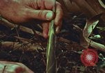 Image of evacuation techniques Philippines, 1968, second 55 stock footage video 65675072411