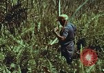 Image of evacuation techniques Philippines, 1968, second 58 stock footage video 65675072411