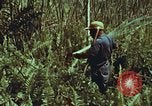 Image of evacuation techniques Philippines, 1968, second 59 stock footage video 65675072411