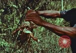 Image of evacuation techniques Philippines, 1968, second 60 stock footage video 65675072411