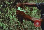 Image of evacuation techniques Philippines, 1968, second 62 stock footage video 65675072411