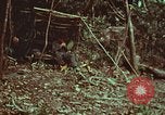 Image of survival techniques Philippines, 1968, second 3 stock footage video 65675072412