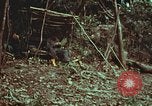 Image of survival techniques Philippines, 1968, second 6 stock footage video 65675072412